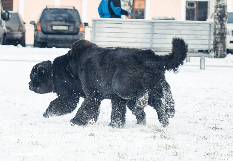 Фотография № 140614