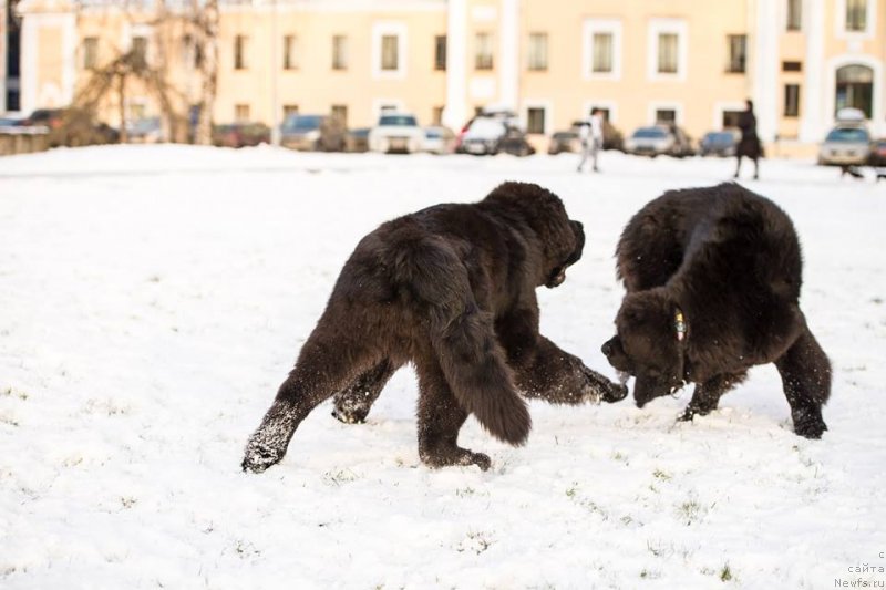 Фотография № 140616