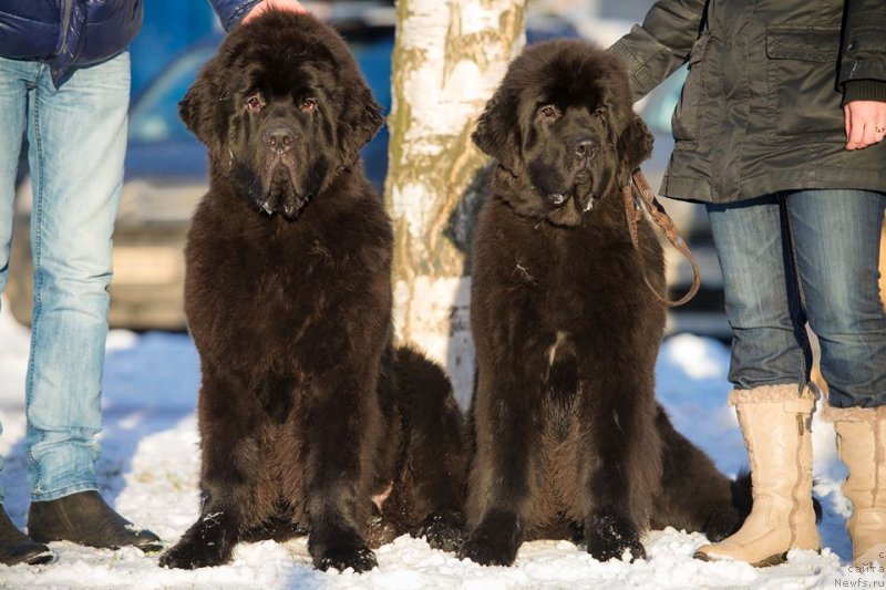 Фотография № 140617