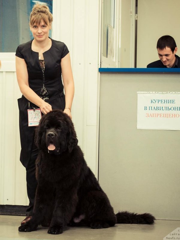 Фотография № 140618