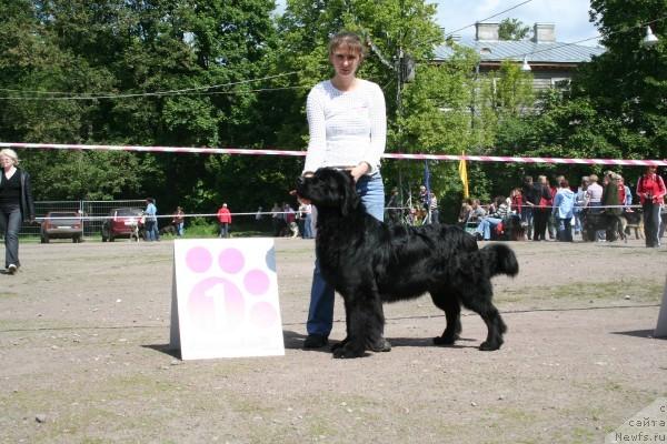 Фотография № 14064