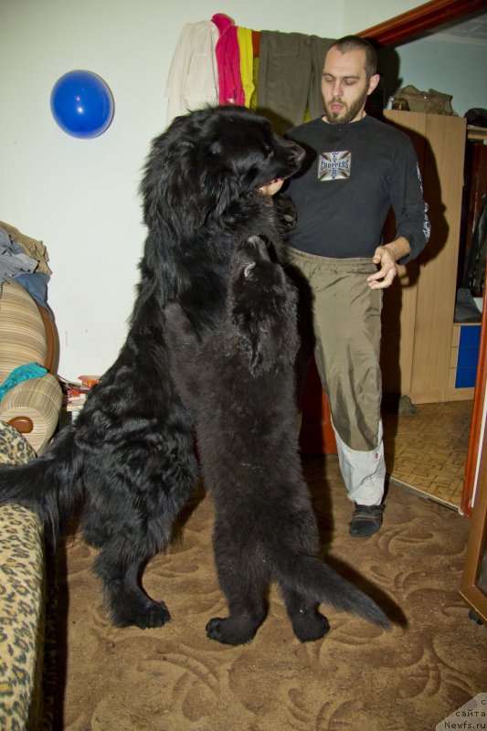 Фотография № 140665