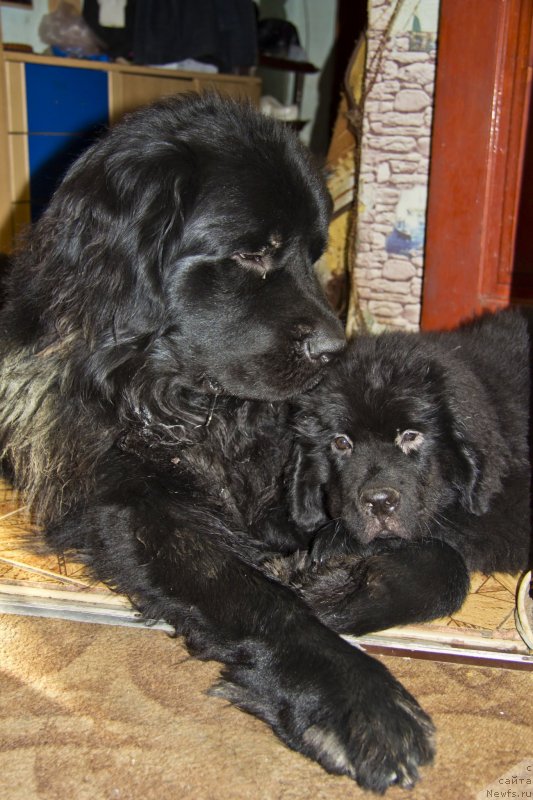 Фотография № 140667