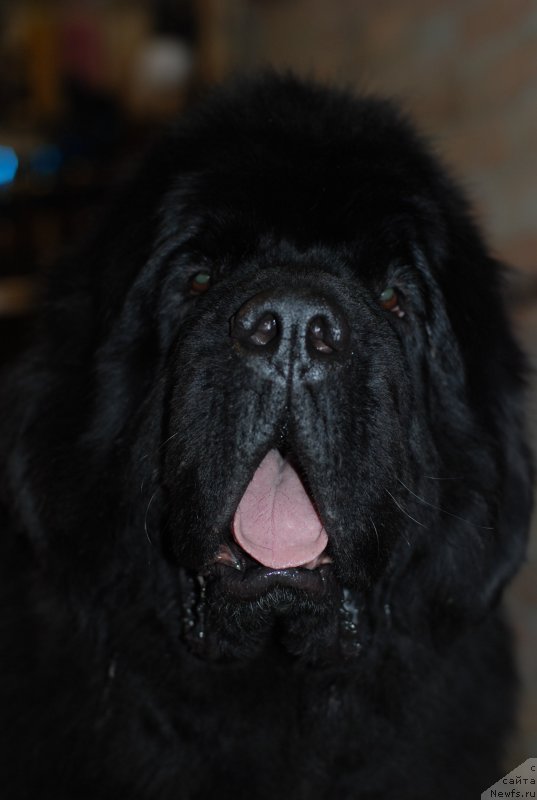 Фотография № 140677