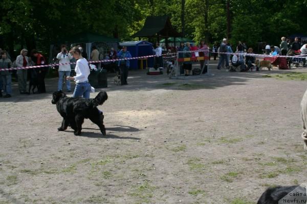 Фотография № 14068