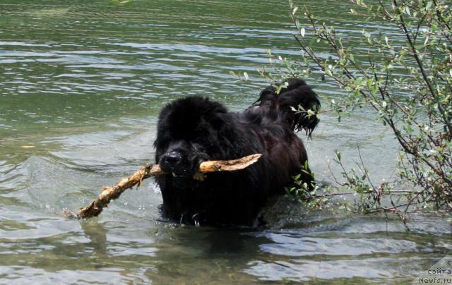 Фотография № 14072