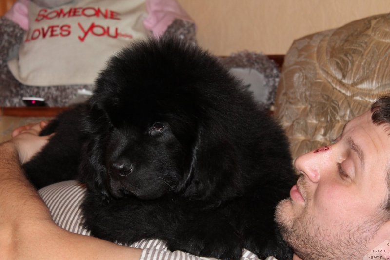 Фото: Ol'ga Zalivako (Ольга Заливако)