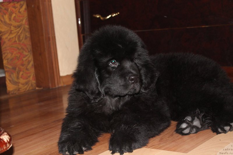 Фото: Ol'ga Zalivako (Ольга Заливако)