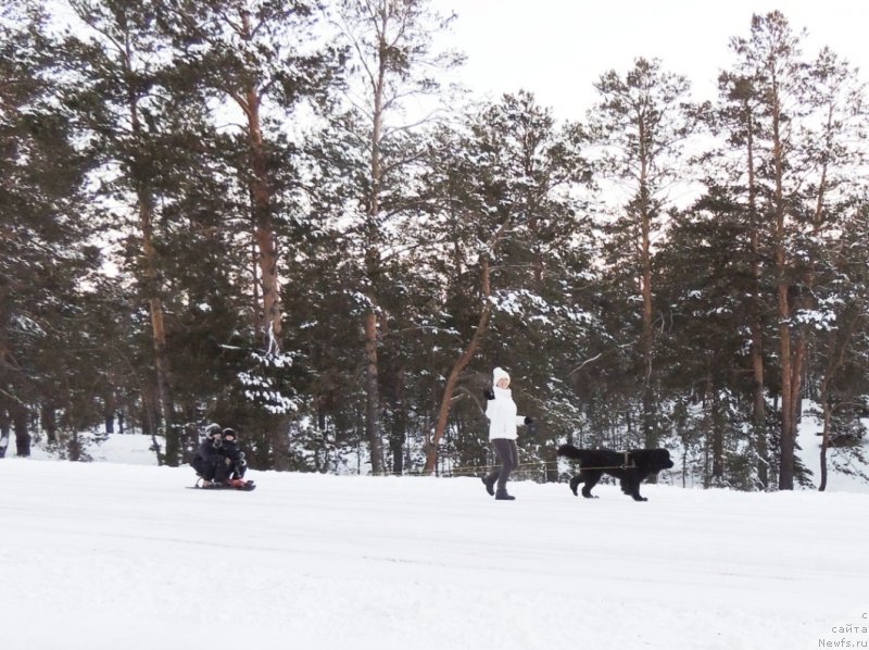 Фотография № 140732