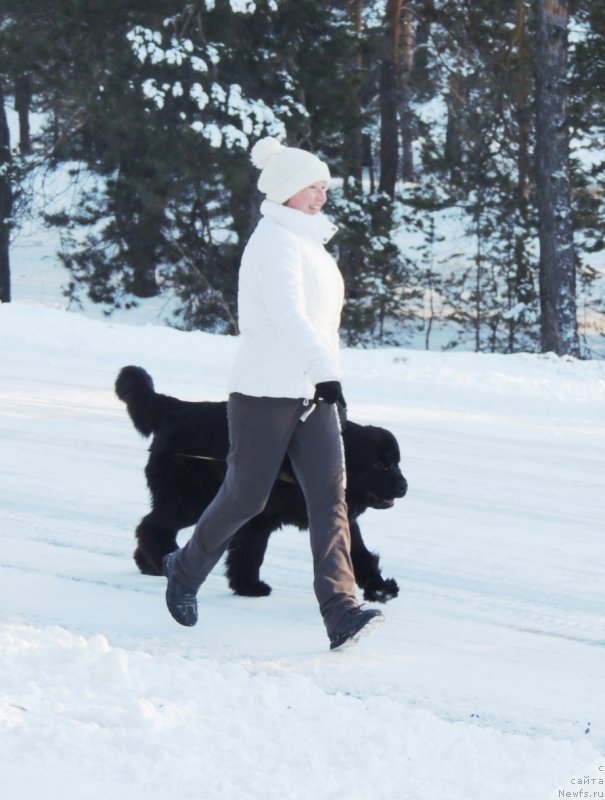 Фотография № 140734