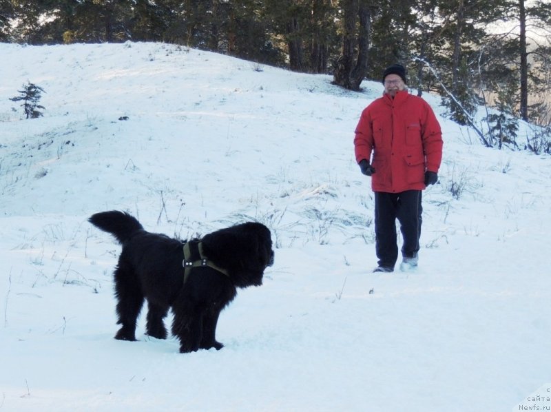 Фотография № 140738