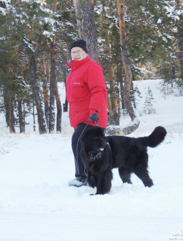 Фотография № 140739