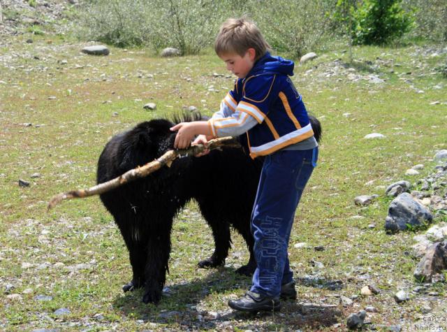 Фотография № 14074