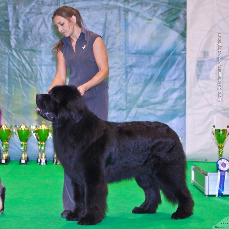 Фотография № 140743