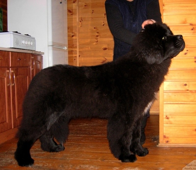 Фотография № 140752