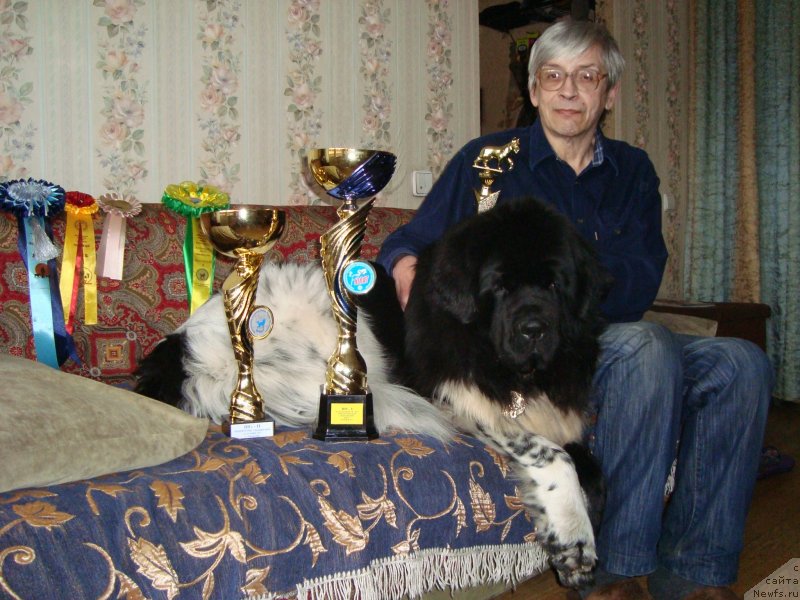 Фото: Nina Tyurikova (Нина Тюрикова)