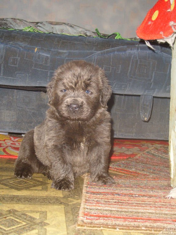 Фотография № 140802