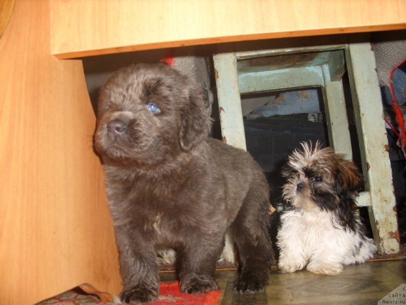 Фотография № 140804