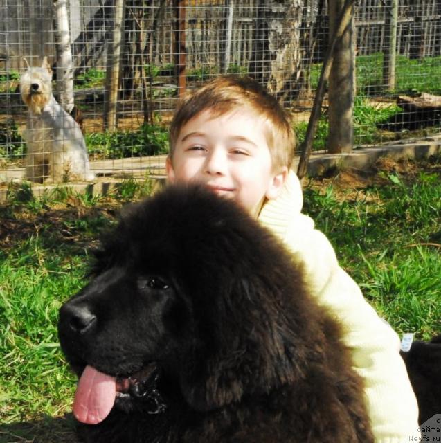 Фотография № 14084