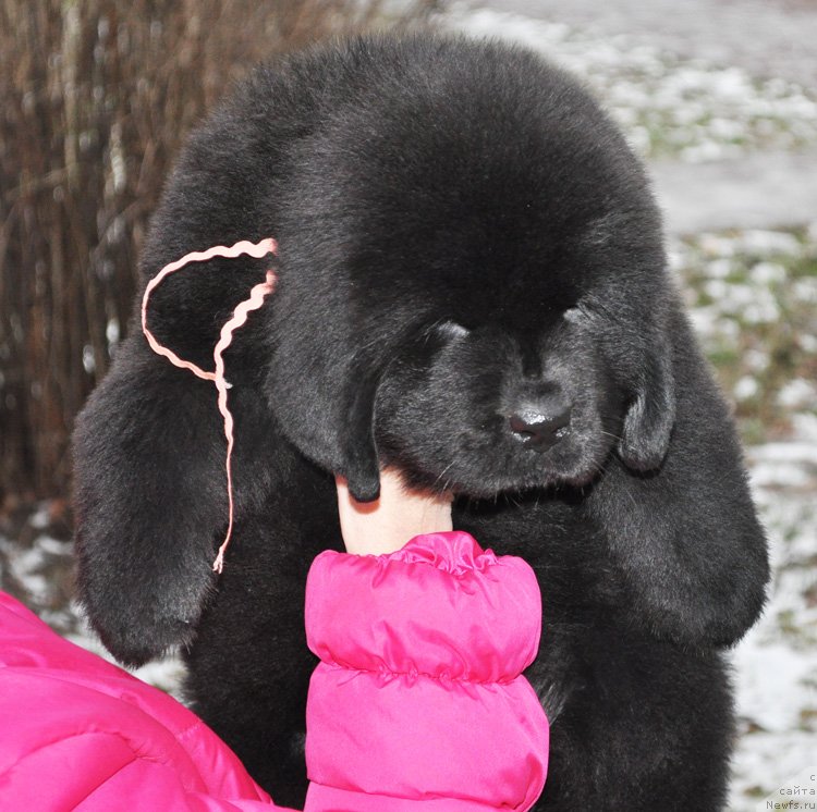 Фото: Бегущая по волнам Ричин Старс