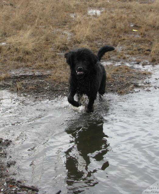 Фотография № 14091