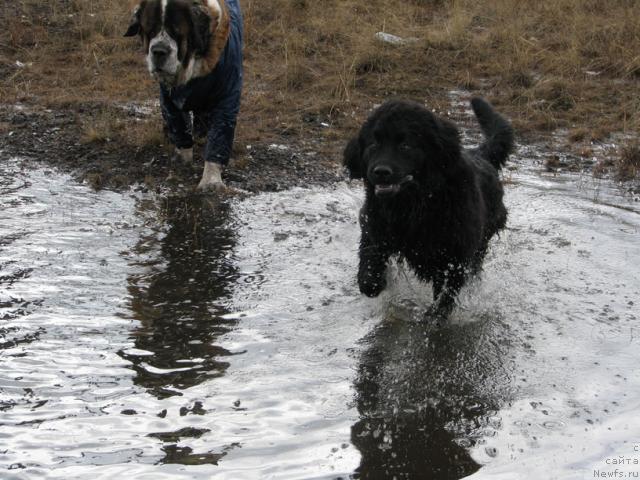 Фотография № 14092