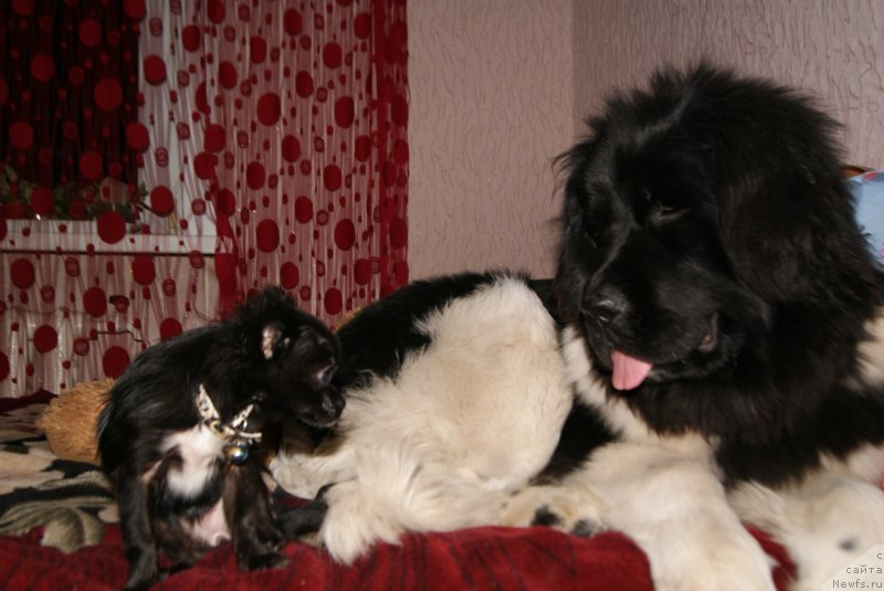 Фотография № 140956