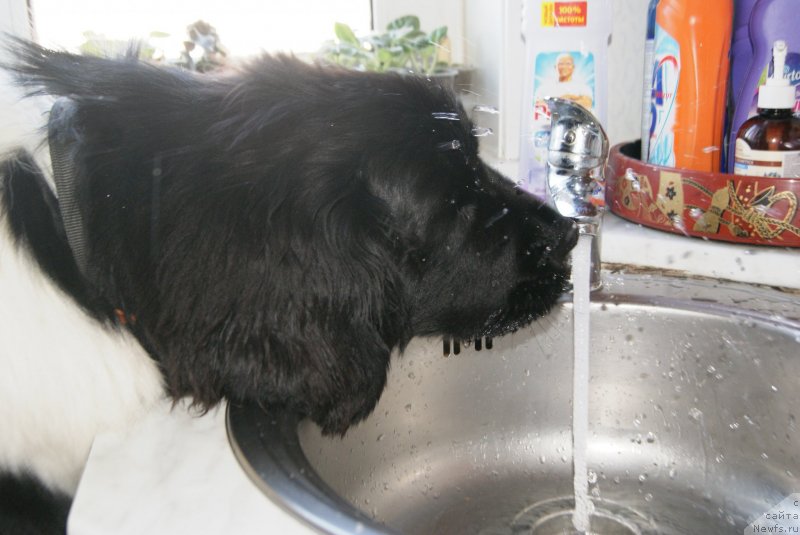 Фотография № 140970