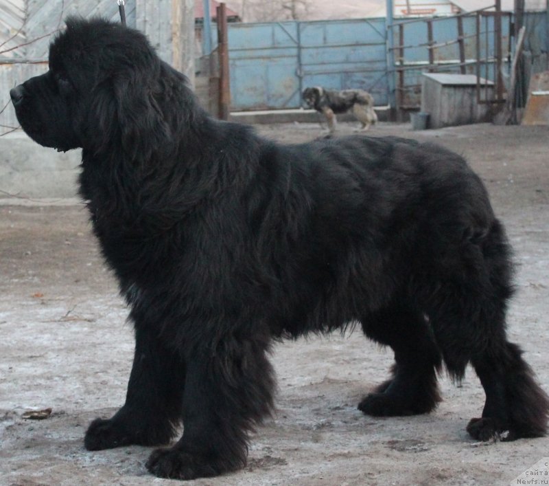 Фотография № 140991