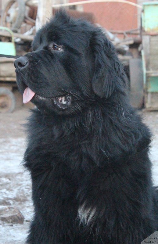 Фотография № 140992