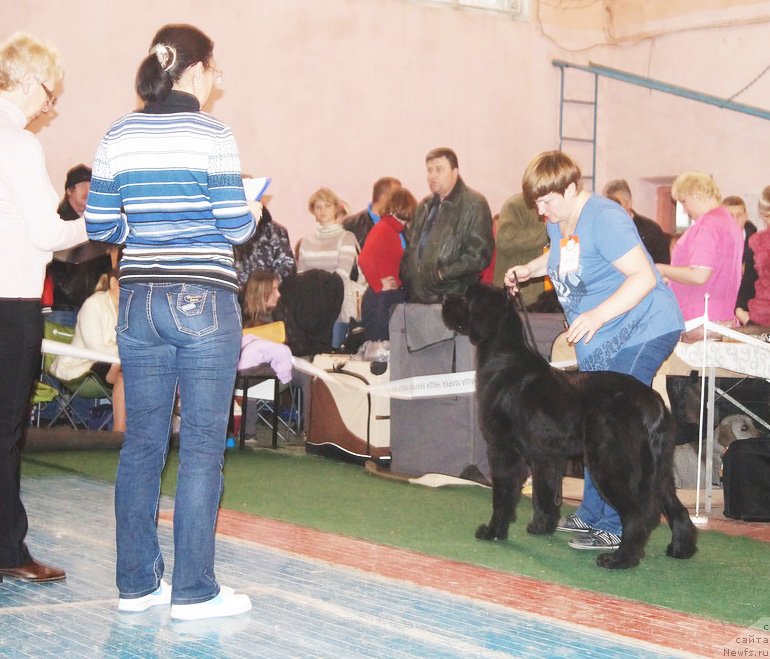 Фото: [d11732] Марина Янтикова