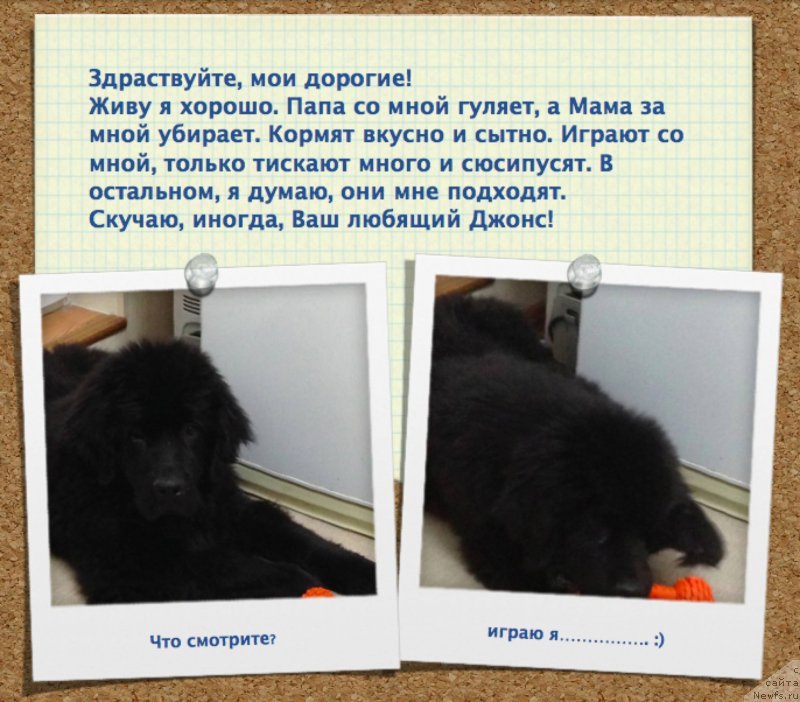 Фотография № 141003