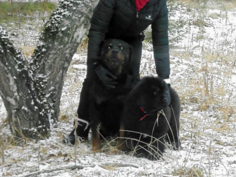 Фотография № 141022