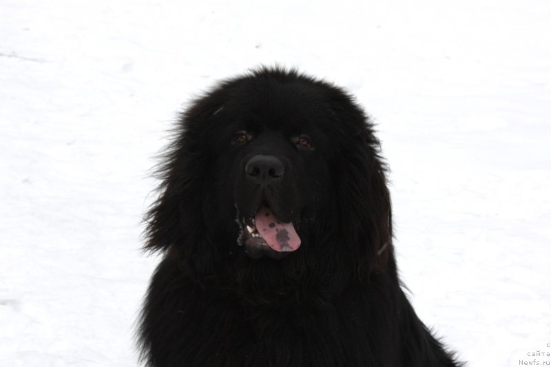 Фотография № 141032