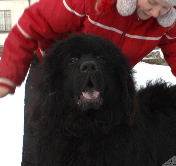 Фотография № 141035