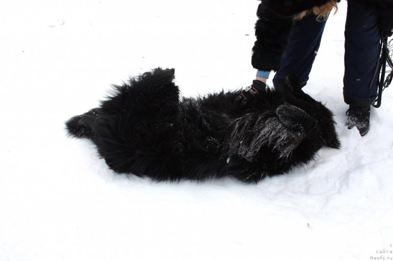 Фотография № 141040