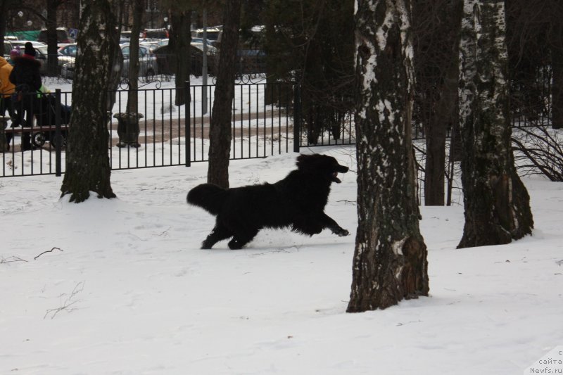 Фотография № 141042