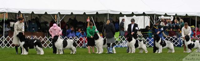 Фотография № 14110