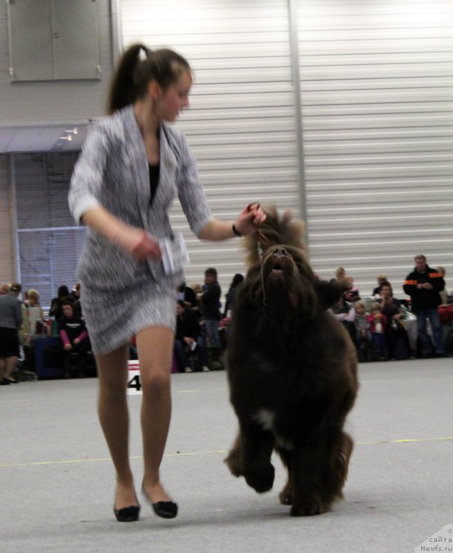 Фотография № 141102