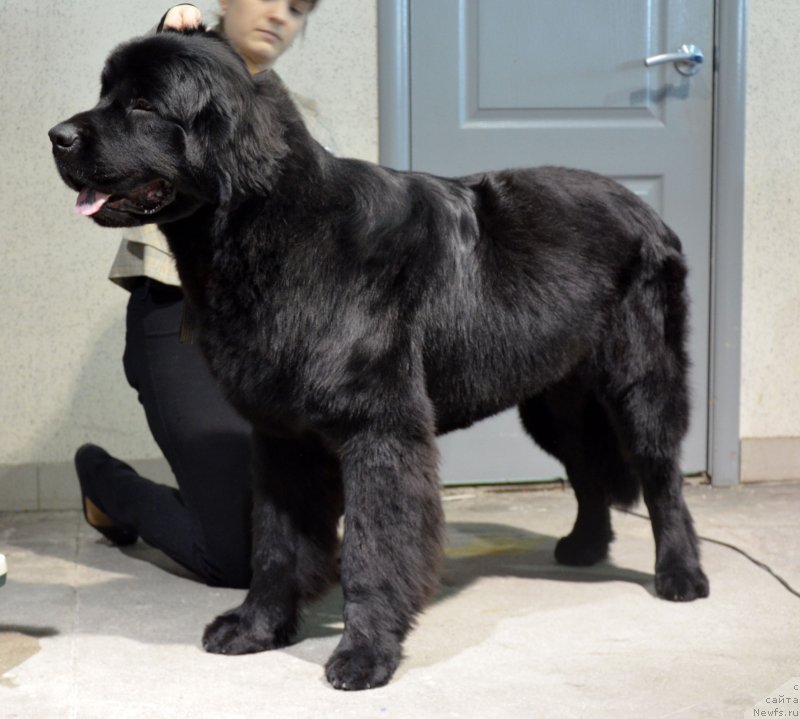 Фотография № 141112