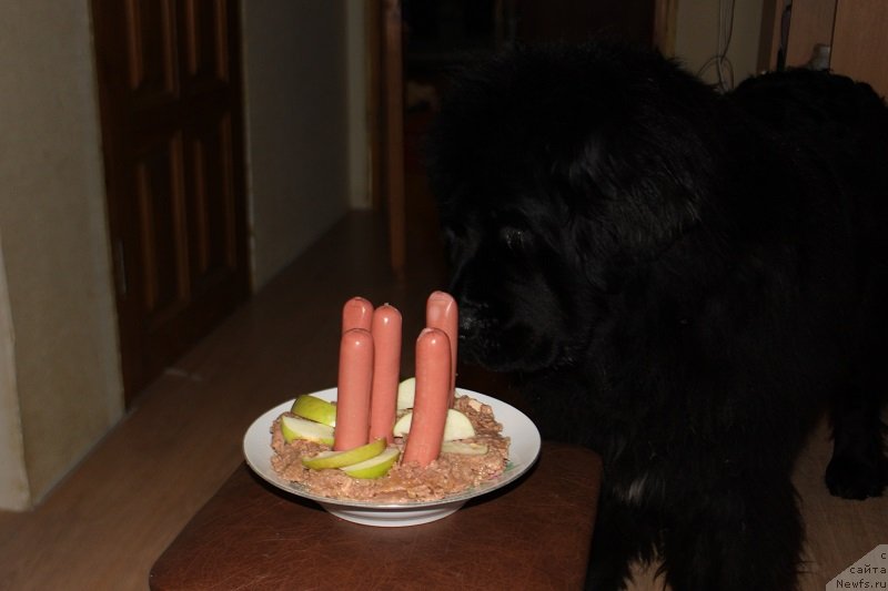 Фотография № 141130