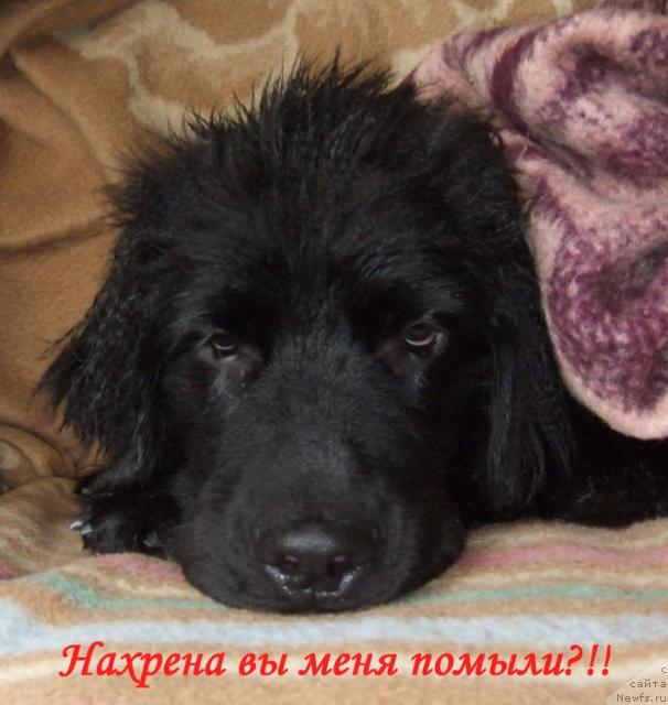 Фотография № 14118