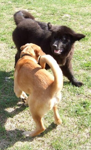 Фотография № 14120