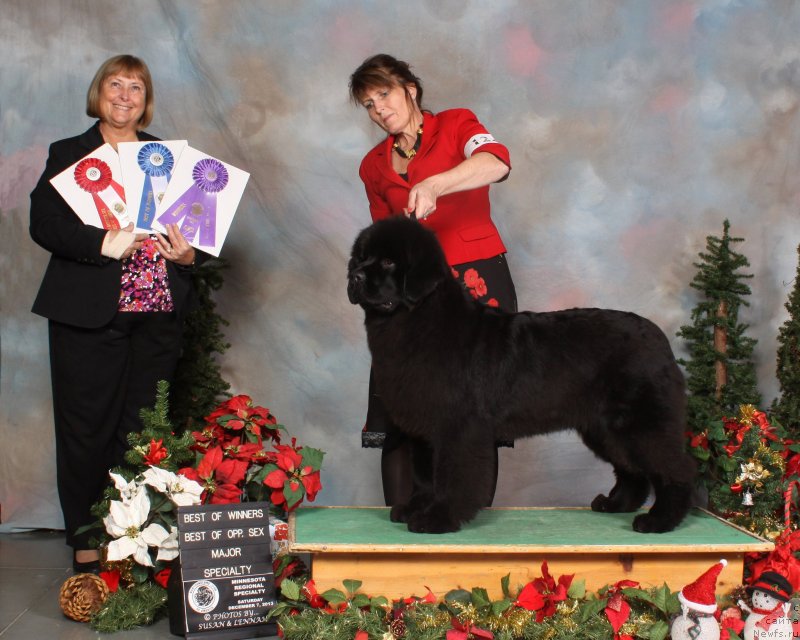 Фотография № 141227