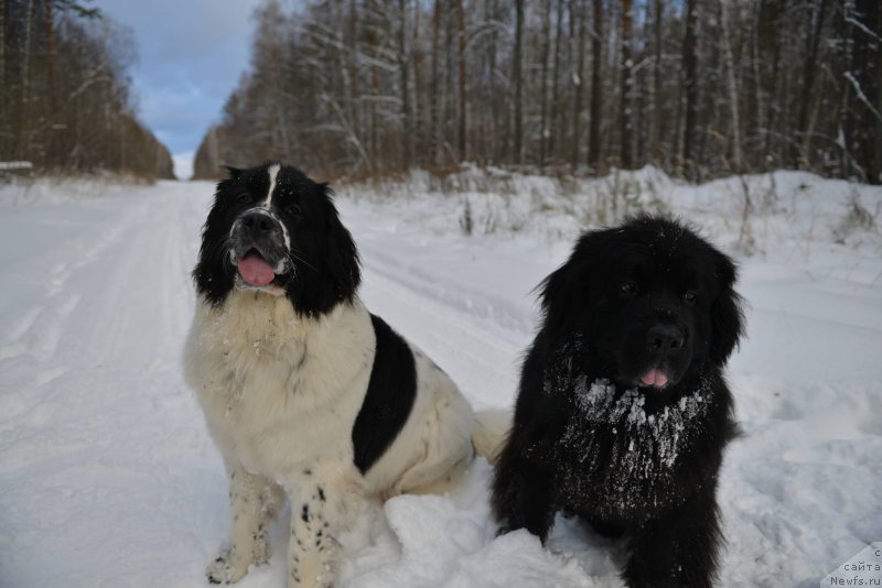 Фотография № 141228