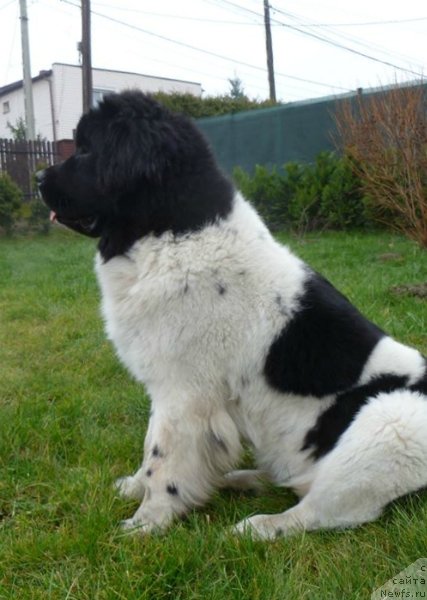 Фотография № 141285