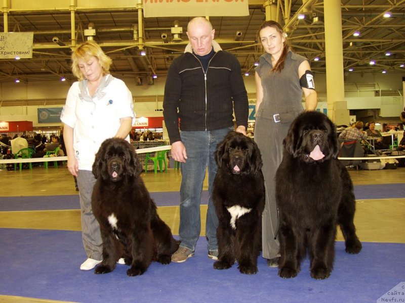 Фотография № 141289