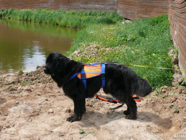 Фотография № 14130