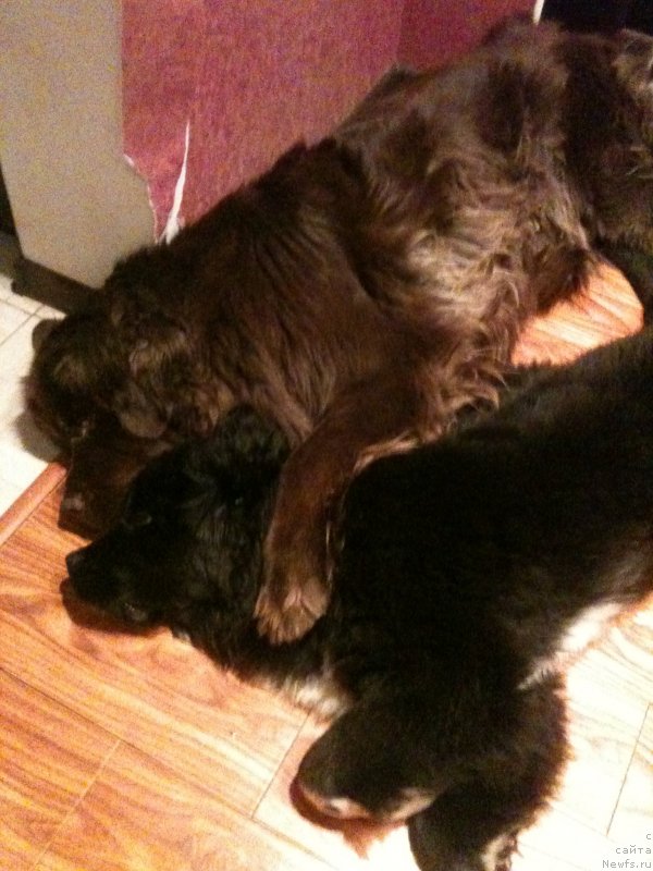 Фотография № 141349