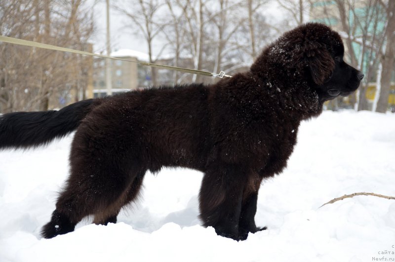 Фотография № 141350